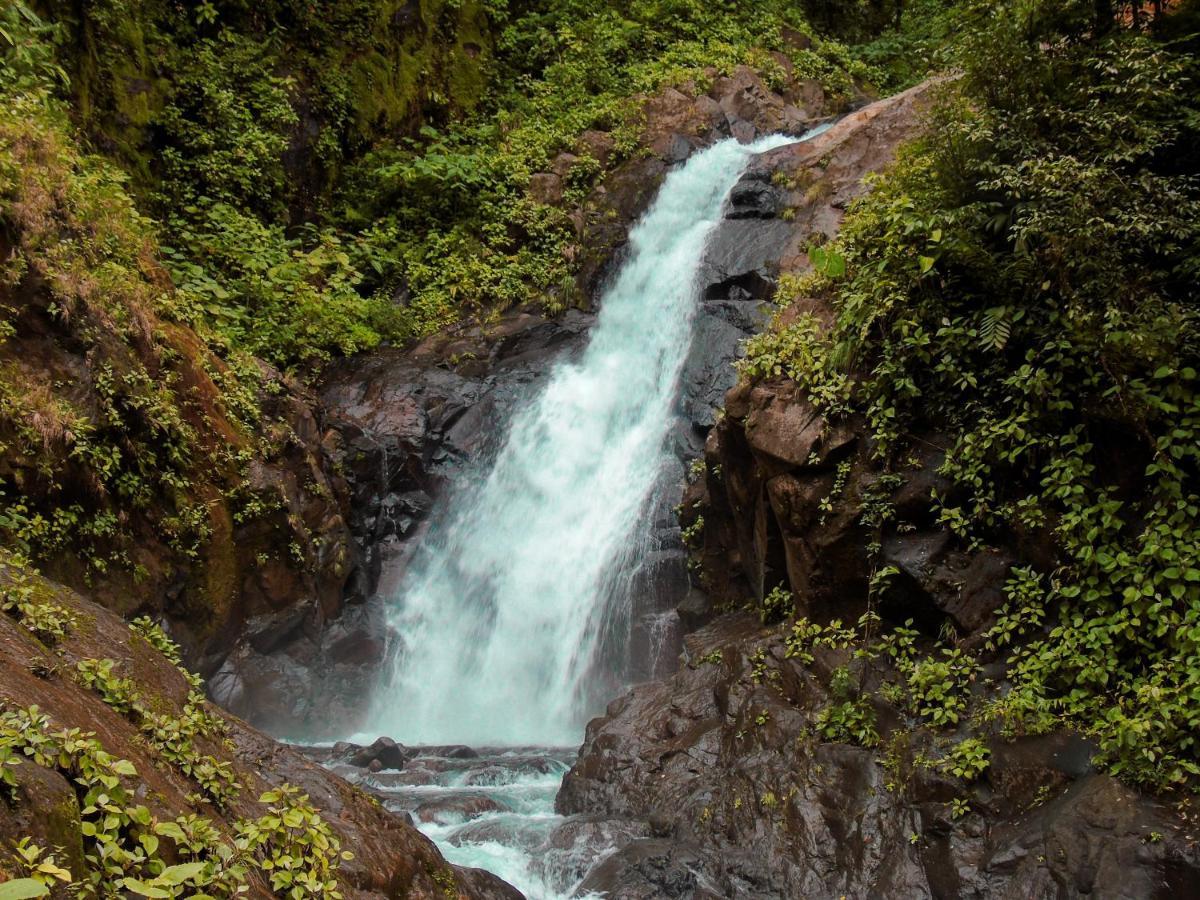 Cataratas Bijagua Lodge, Incluye Tour Autoguiado Bijagua Waterfalls Hike Екстериор снимка